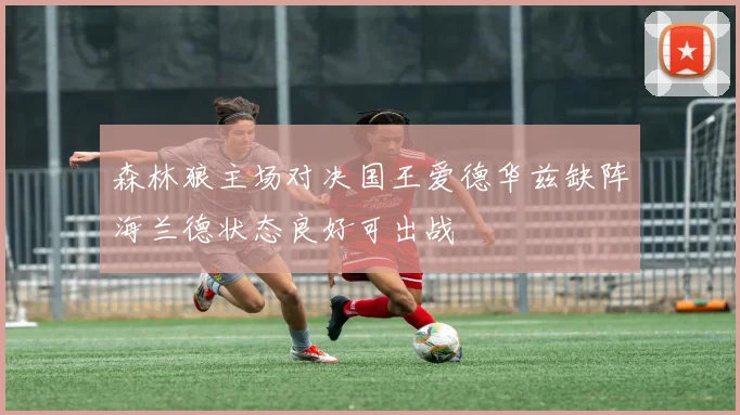 森林狼主场对决国王爱德华兹缺阵海兰德状态良好可出战